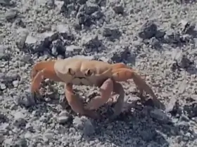 Casually taking of your arm