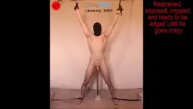 Remote Control Prostate Vibrator - Restrained and Impaled