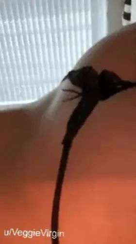 🦋✨✨✨ hello, hope your day is going great 😊 first post here (oc) 18F