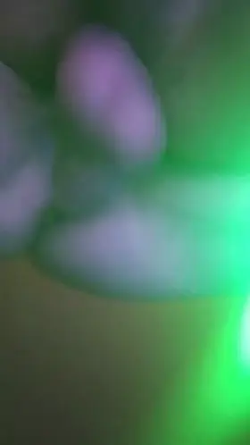 I love the sight of full, wet nuts