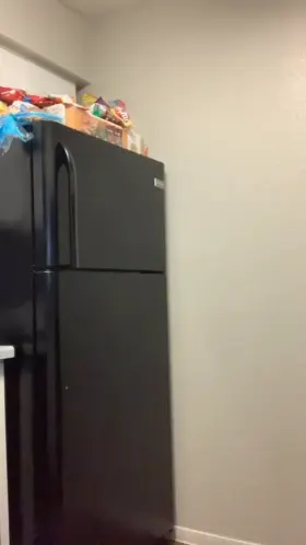 You catch me in the REFRIGERATOR like this, WHAT YOU DOING?