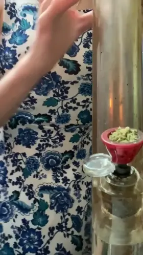 Thank you (f)or sorting by new, you get to see boobs and my doggo😂