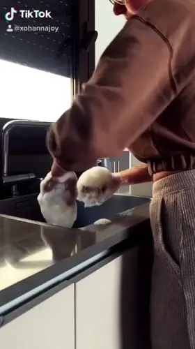 Who wants to wash me up?