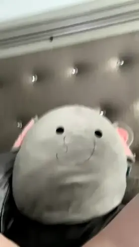 just showing off to my elephant lol