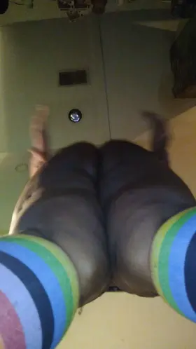 Yeah a WAP is great and all, but have you seen an ASHH? 💦💕