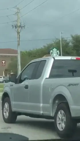 Jilling On The Top of a Car in Traffic