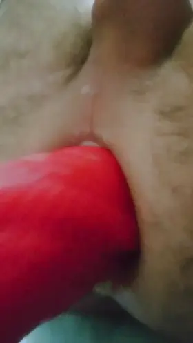 I wasn't forced to put this dildo in my ass, by it sure is forcibly making my manhood disappear