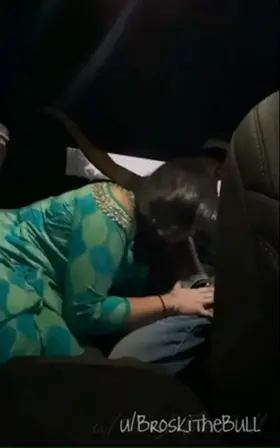 Desi hotwife let [m]e fuck her in the back seat of a moving car