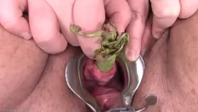 the freshest wasabi I've ever tried - sound on for pain-noises