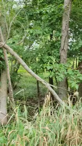 Dropped my clothes and ready to hike