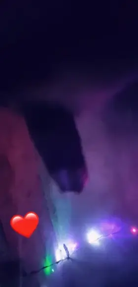 Merry Christmas guys(sry for late post),,⭐🎄Turn your phone 180° to see better view,, Anyone's wants give a mouth on it!!?p