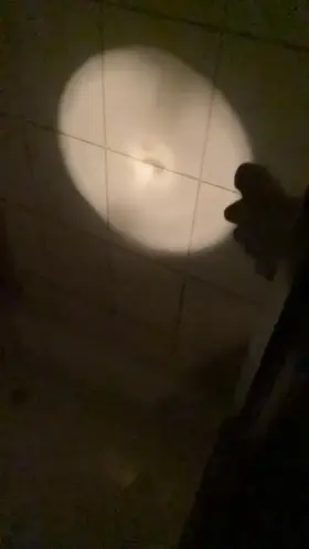 Wanna make and see me cum?