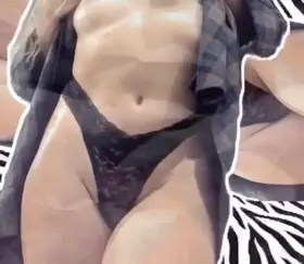 🐈🐈🐈🐈🐈🐈🐈