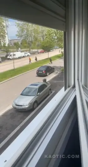 Murder - suicide in France