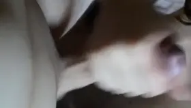 🔥Do you wanna se how my bf and I having some amateur sex? 🔥Come join the fun! We want to share it with you too! ⚡️ -Amateur Couple [B/G] on OnlyFans -couple experience -POV, nudes, lingerie, requests and so much more! -new posts everyday- Link⬇️