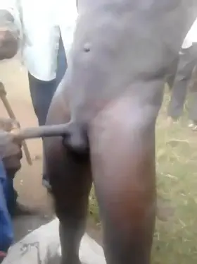 Some ritual in Africa