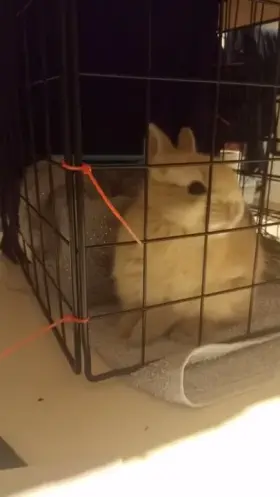 Me when I get enough karma to post on other subreddits