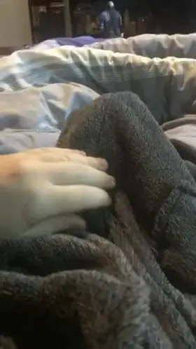 Can you feel the pu(M)p?