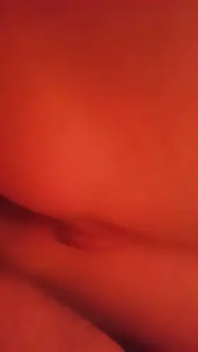 Anal GIF by little462