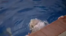 Jaime Pressly getting out of a pool in 