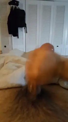 Goodnight y'all! Say it back