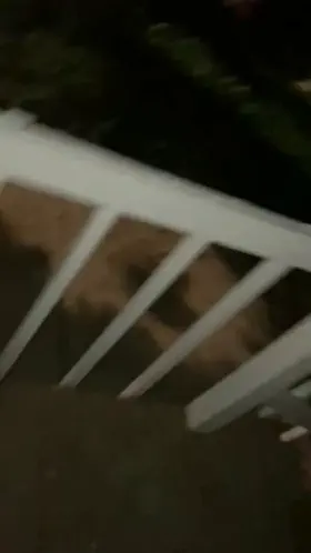 He made me strip completely naked and suck him on his front porch. We were so visible with the flash on 😳