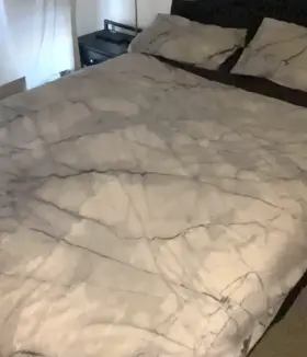 Thought I’d jump on this trend…