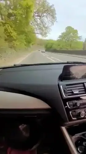 They like to be free when I drive.