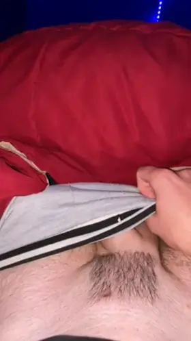 Stopped by to say hello (m)