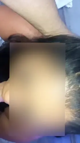 If you’re in San Diego looking for a bull or a 3rd…