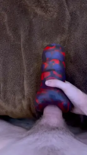 My first Bad Dragon toy (Perry) and it’s tight.