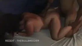 Happy thanksgiving!!! Don’t forget to stuff that 😼 (OC)