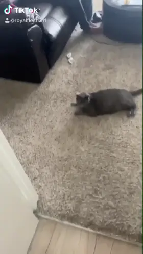 What do you do when bae is playing for too long? 👀 wait til the end! 💦🍆