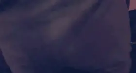 Hey look its my ass again