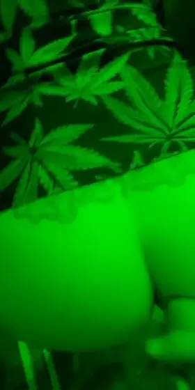 Ooppps made a mess this morning