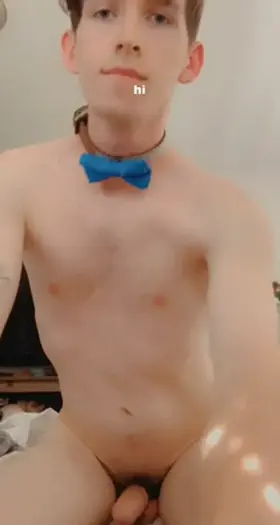 hi… anyone need a new pet!? am a good boy 😝💖