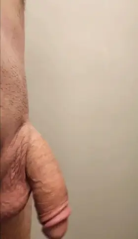 Everybody here chooses to post erect penis. I chose floppin it about like drunk boa constrictor hanging off a car bumper when it hits a pot hole.