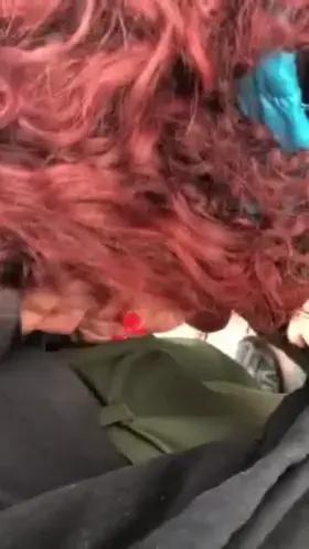 Let’s head down to the park by the creek