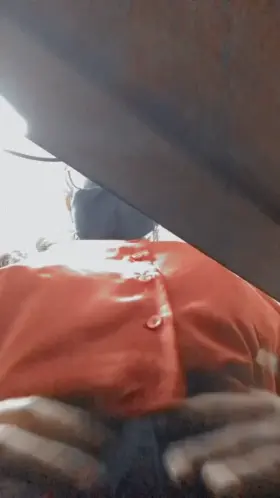 Just like any other day at office, but a bit wild ;)