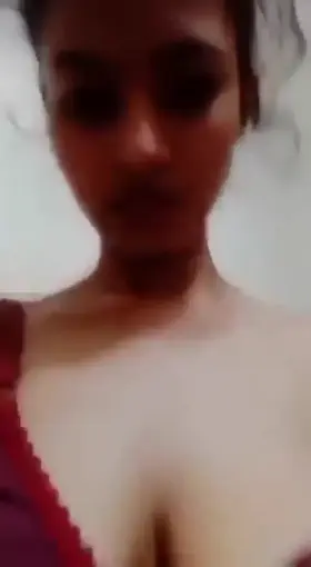 Indian boobies
