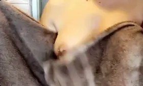 Fresh out the shower, wanna play? [reveal]