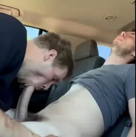 sucking cock in a car
