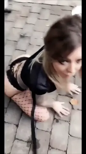 Karma Rx being the pet she is.