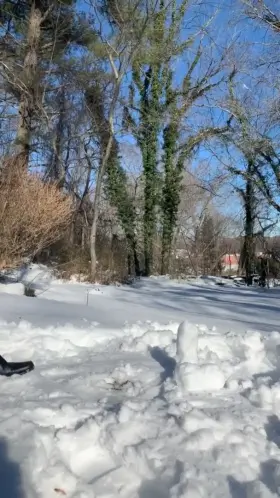 When you can’t get any real BWC since you’re snowed, so you make your own BWC! (Get it?)