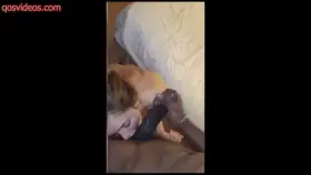 BBC Balls Sucking Bareback Barely Legal Interracial Teen Porn GIF by qosvideos