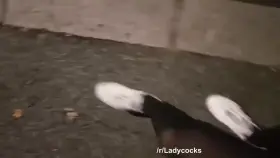 Poor little thing is in Chastity, fortunately you can still fuck her holes