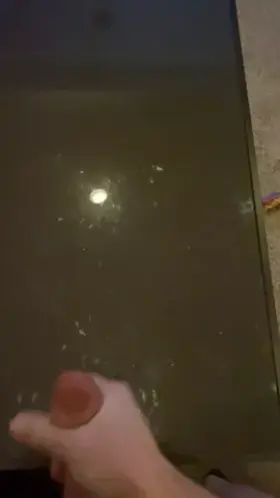 Where should I drop my next load?