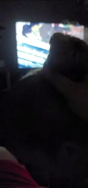 Tried to get caught up before attempting to watch the movie [MF]