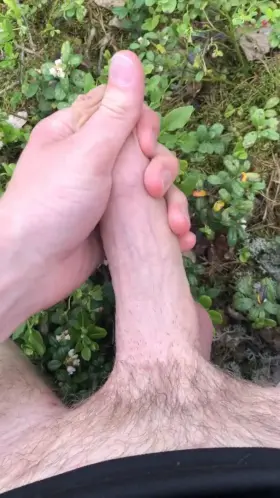 Want to suck my uncut cock in the forest?