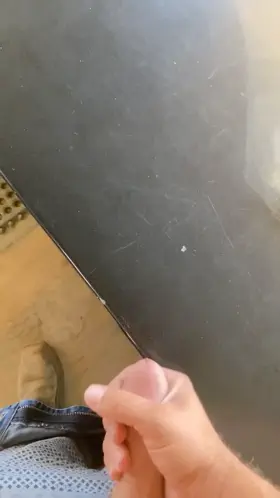 Who wants to breed next more than enough to go around.